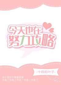 今天也要努力攻略