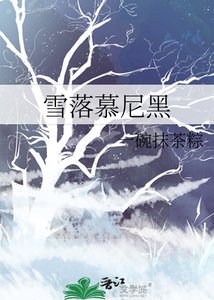 雪落慕尼黑